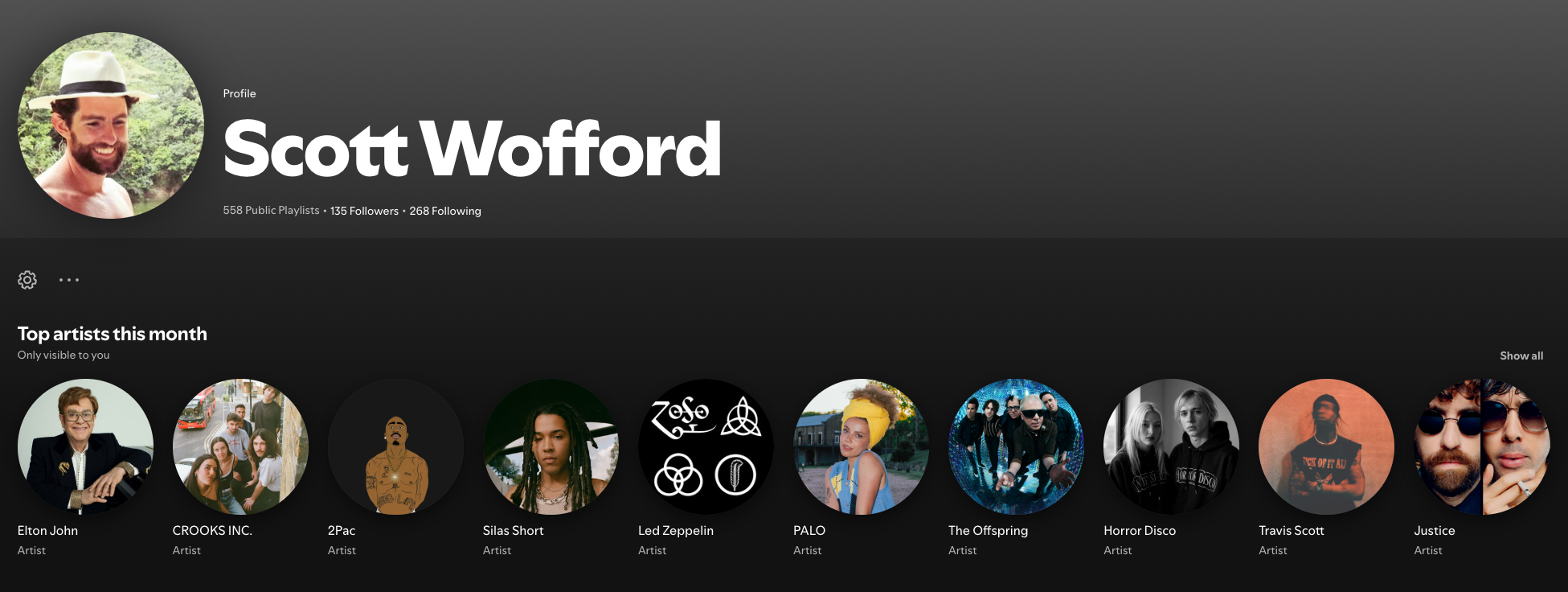 Spotify profile